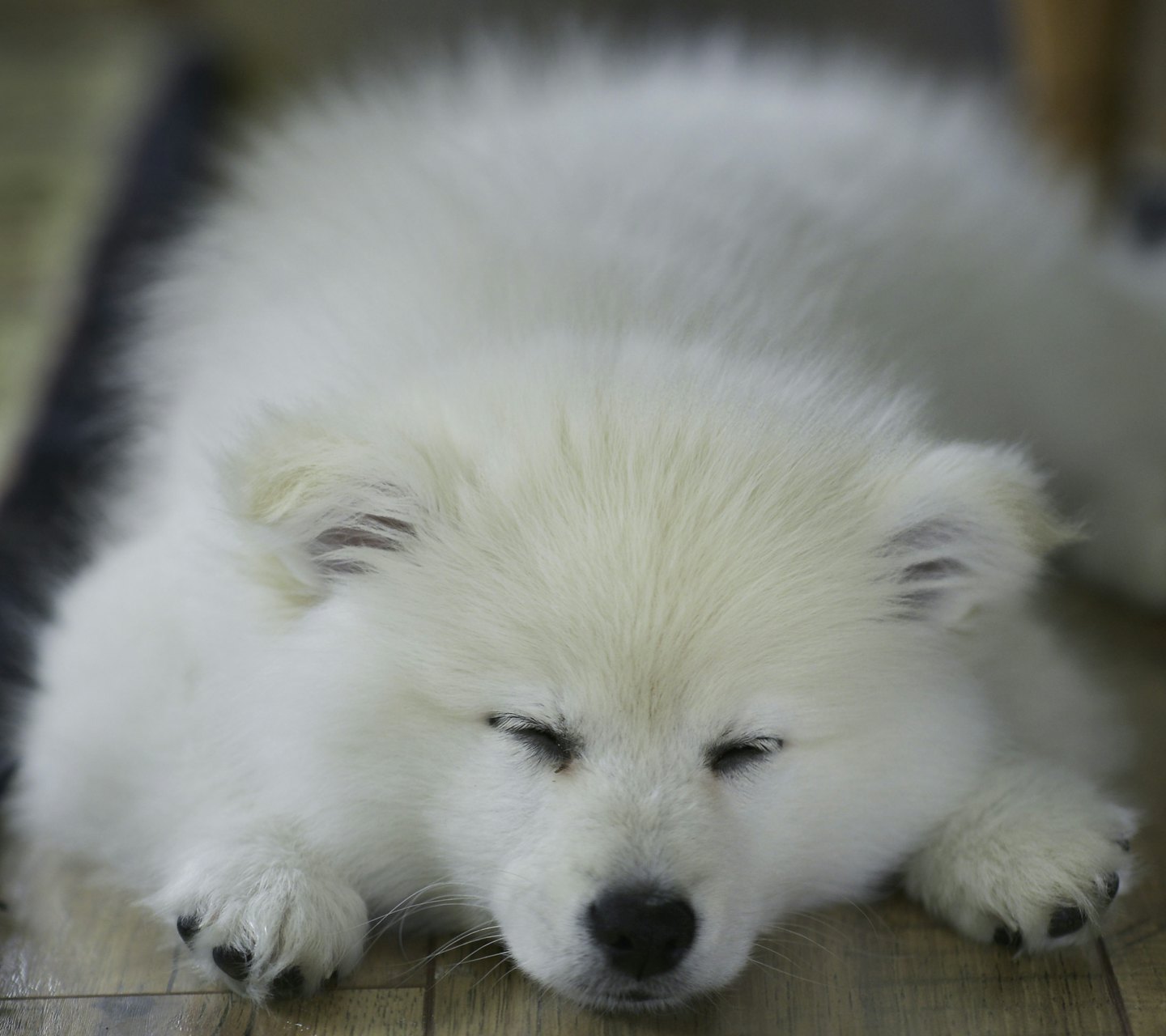 359794483f29f19c802c72e1b5bbff14da092d72