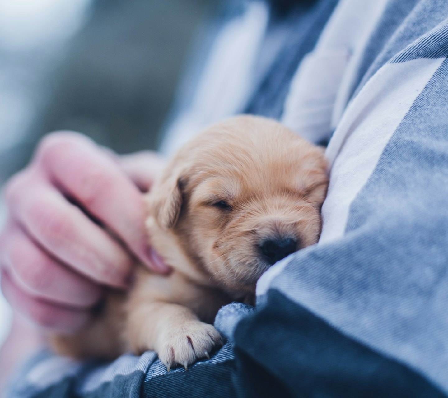 6681de4d46470aaeb381695091a0f23043f88c46