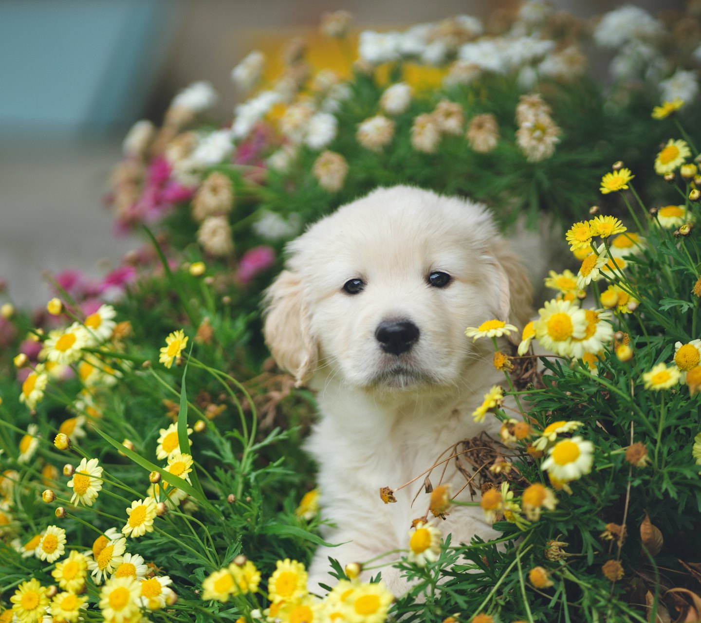 c7fa657ce0567f7d7eaee0c31be712f81563b8d3