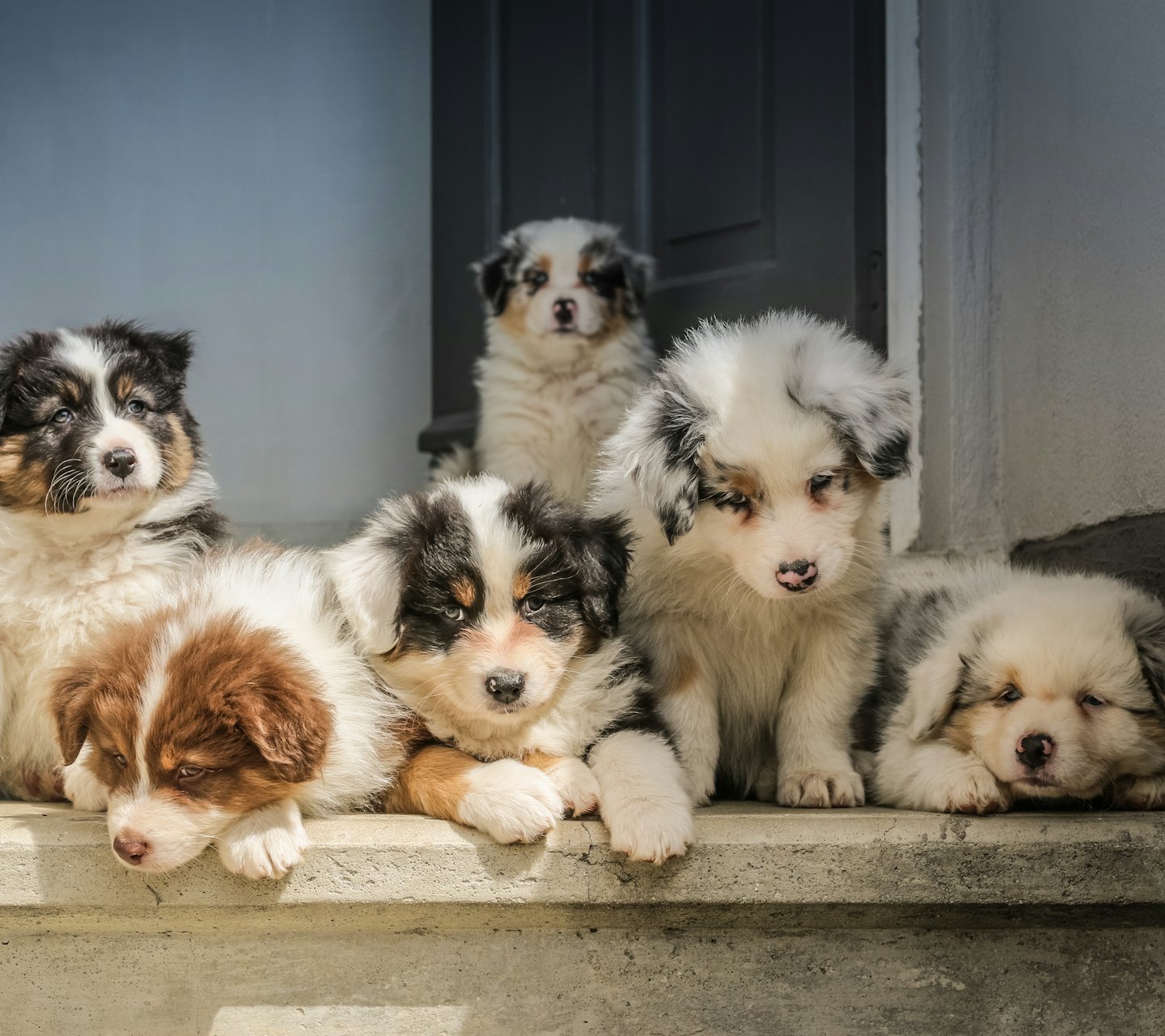 ec45825307c083985505a04f0869dff67248a813